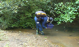 水生生物調査風景