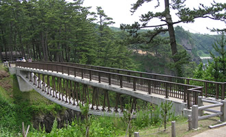 巌門園地吊橋(吊床版橋)(土木学会田中賞作品部門受賞)