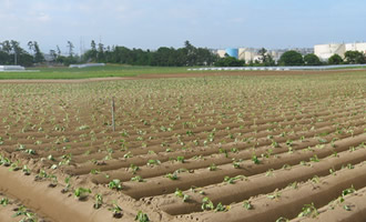 県営畑地帯総合整備事業 粟五地区